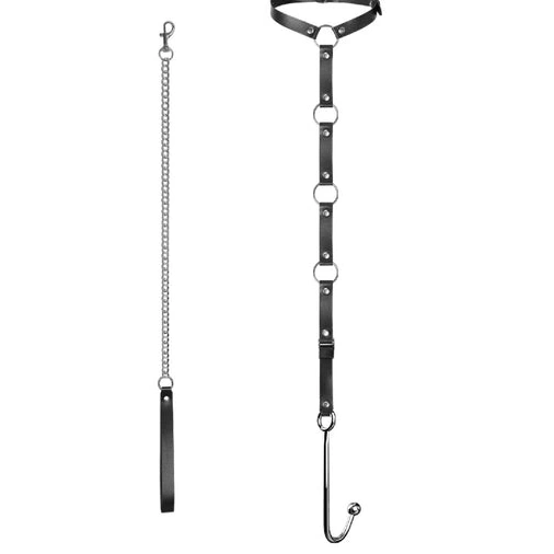 Anal Hooks Anal 5853 with Leash Hook EverydayUse Collar Kinky and 0802